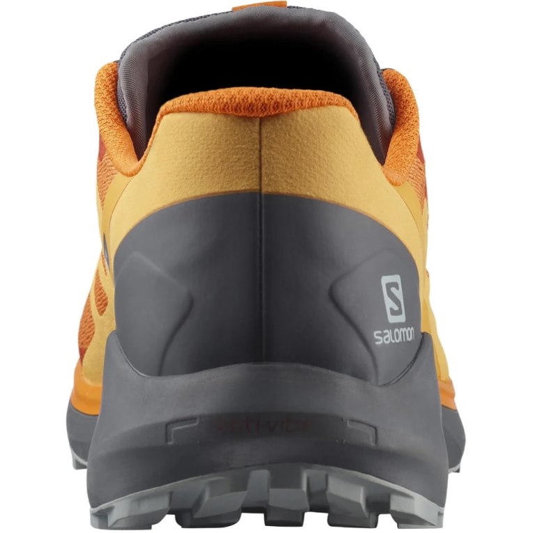 Orange Salomon Sense Ride 4 Men's Trail Running Shoes | IE GS7936